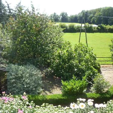 Pferdehof Homann Ludinghausen